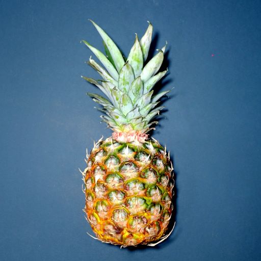 ../_images/ros-pineapple.jpg
